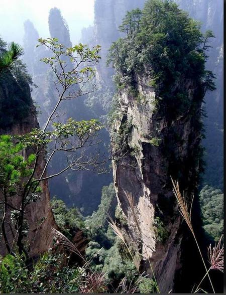 長沙出發(fā)到張家界溶洞奇觀黃龍洞、國家森林公園、袁家界、峰林之王天子山三日游（早班）