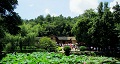 長沙出發(fā)到花明樓、韶山、張家界國家森林公園、天門仙山國家森林公園四日游