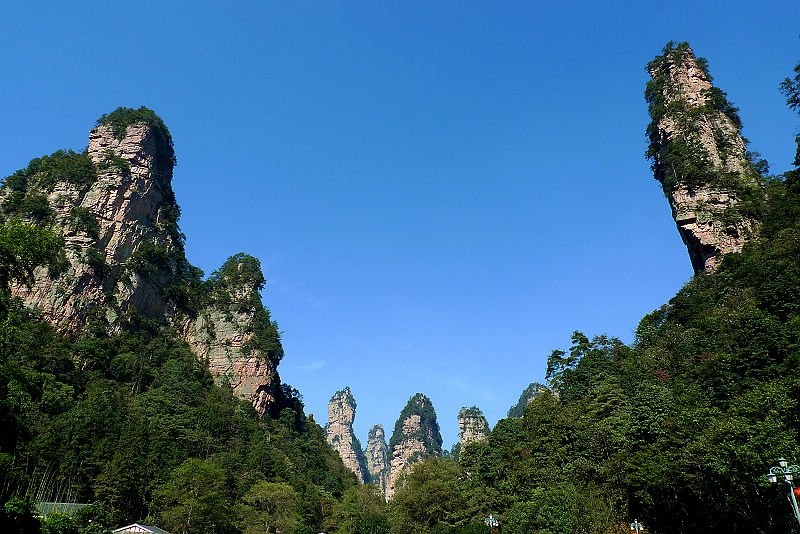 張家界國(guó)家森林公園、黃龍洞、天門(mén)山、鳳凰古城純玩五日游